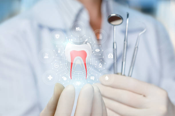Best Preventive Dentistry  in Shelbyvle, IL